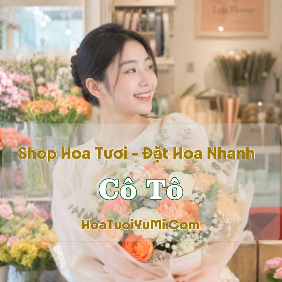 Shop Hoa Tươi Cô Tô, An Giang