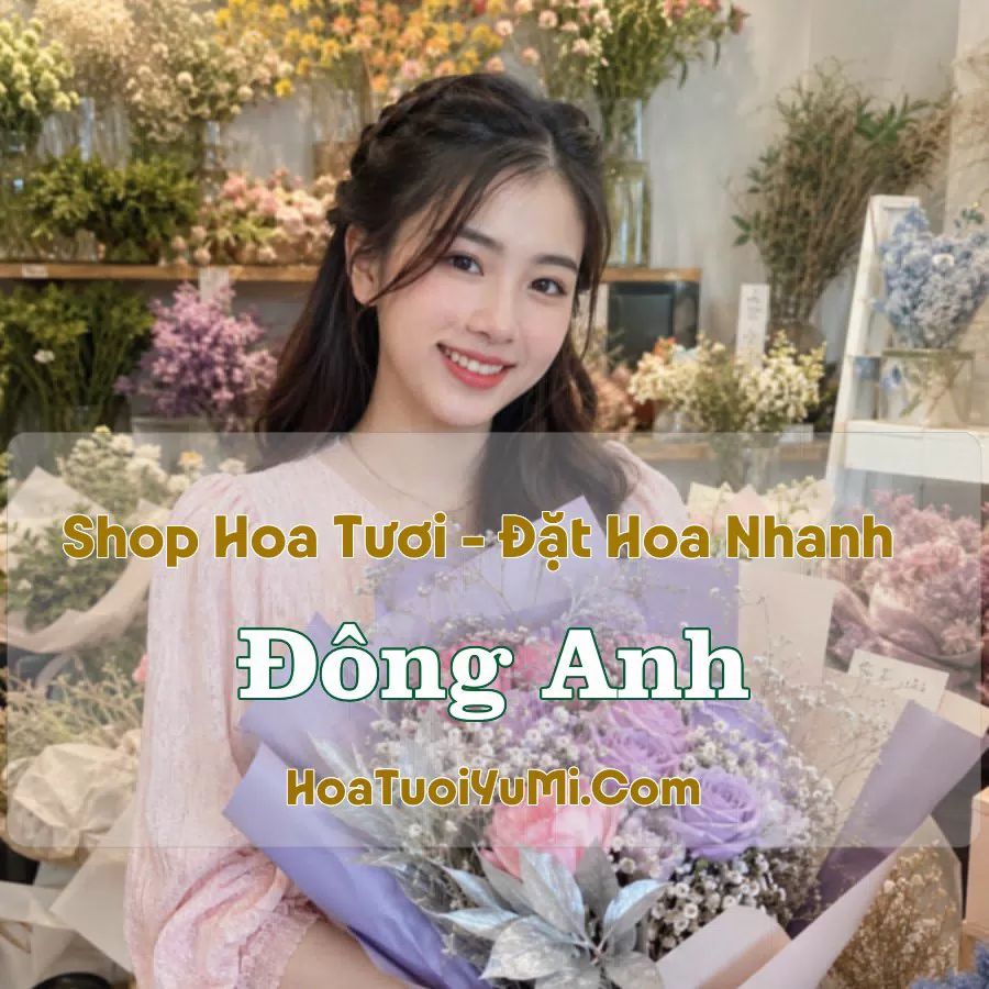 Shop Hoa Tươi Đông Anh (Xã Đông Anh, Hà Nội mới)