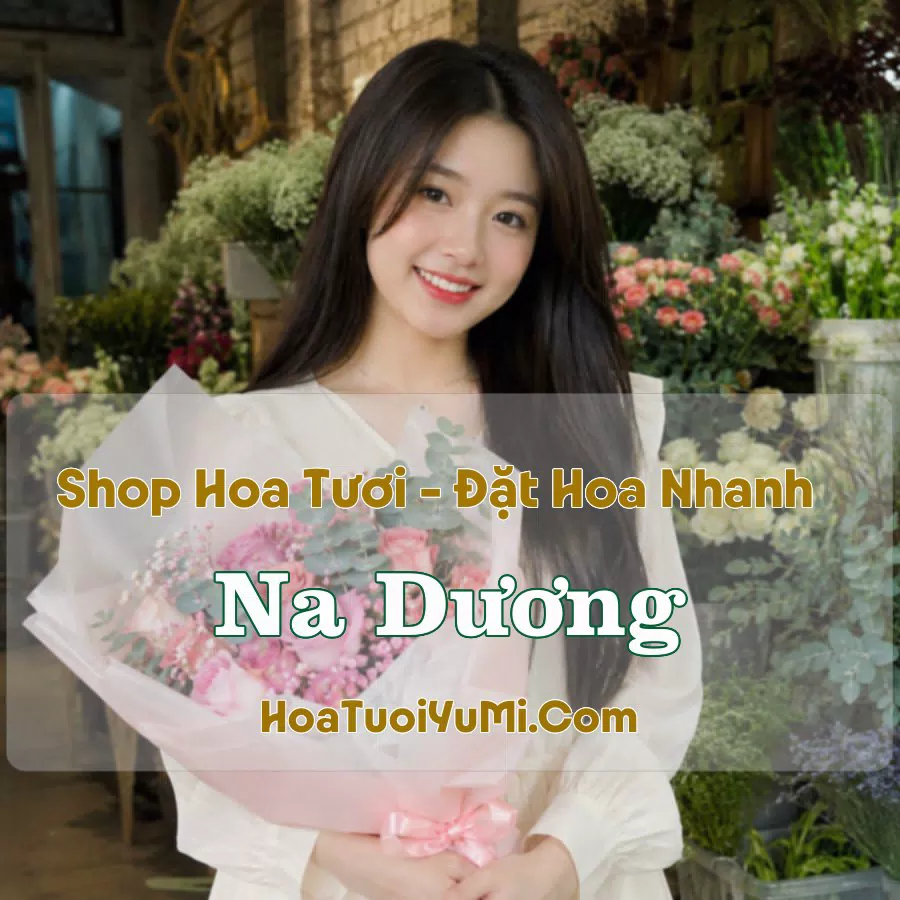 Shop Hoa Tươi Na Dương (Xã Na Dương, Lạng Sơn mới)
