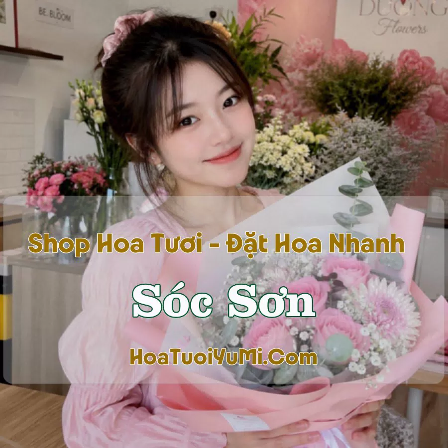 Shop Hoa Tươi Sóc Sơn, Kiên Giang